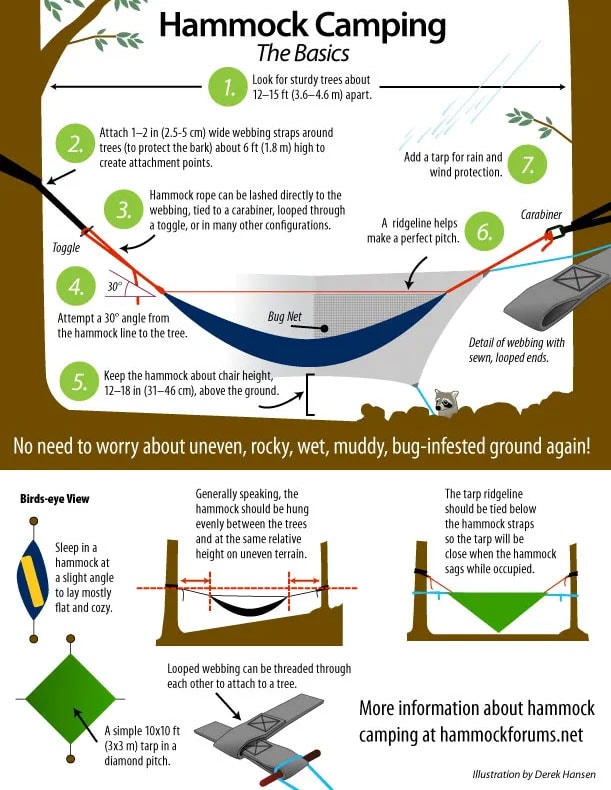 hammock-setup-basics hammock setting up tips